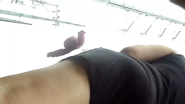 ロッコ動画-ケイトe 女性 の ため の セックス 無料 動画